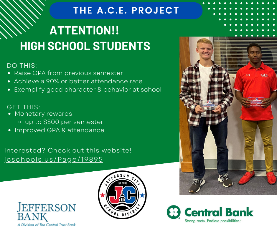 ACE Project Graphic